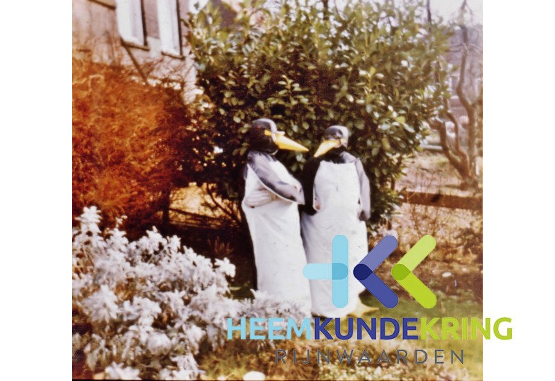 Carnaval 1976 Coll. F.Janssen (7)
